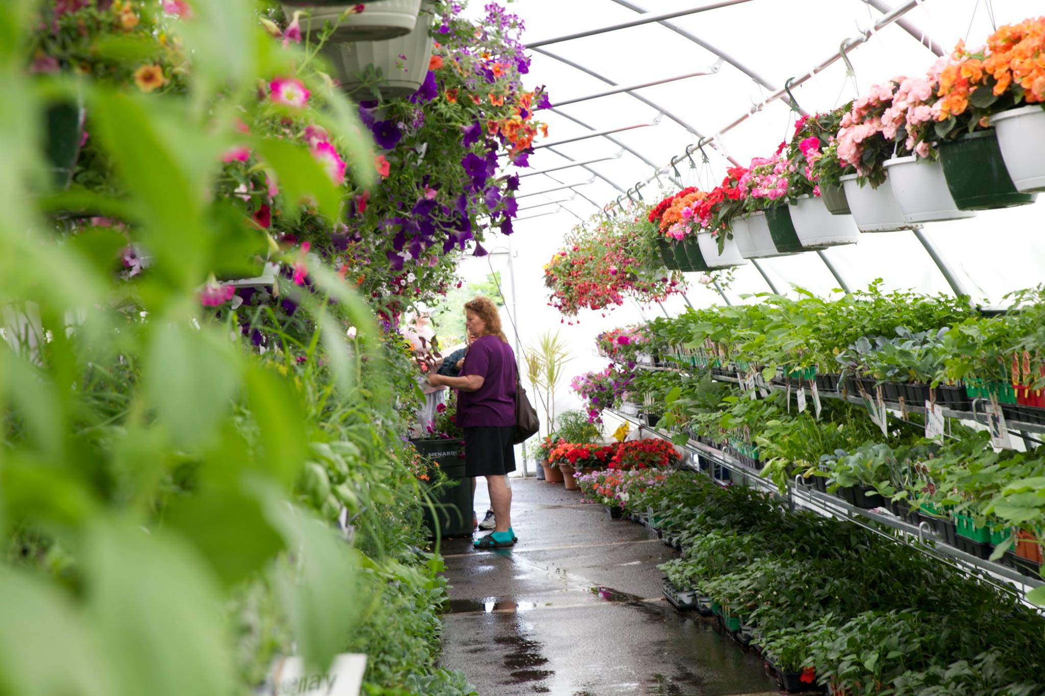 Plant Place Garden Centers Mn Providing Annuals Perennials Shrubs