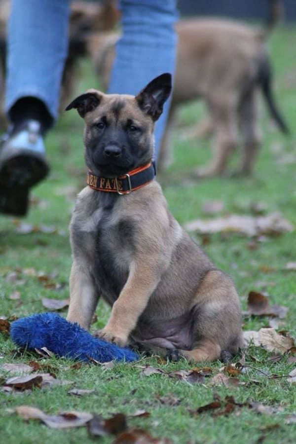 265140022_4707896369352168_823300456086718427_n