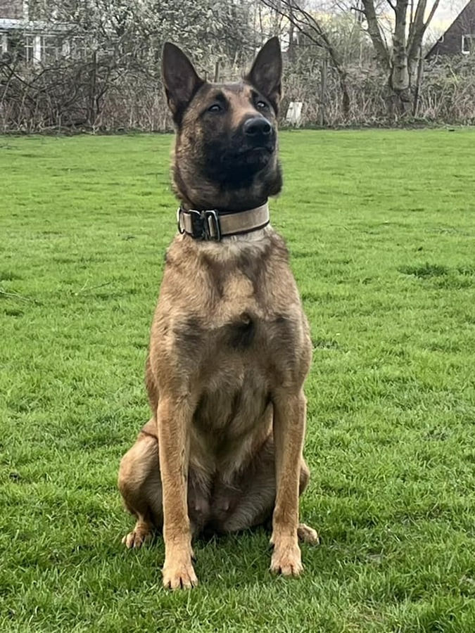 431903407_5460007350807729_4330108237477068286_n