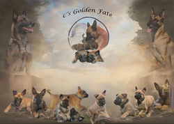 WhatsApp Bild 2025-12-28 um 14.48.24_6ffcd113