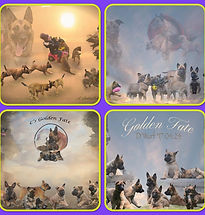 WhatsApp Bild 2025-07-16 um 18.16.30_ee54b238.jpg