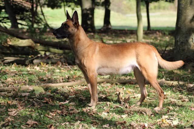 243041581_4640319092776563_5181971518316714252_n