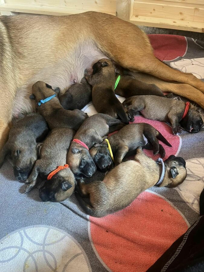 440120077_5492083057600158_2213757698005624260_n