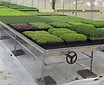 旺田溫室設備有限公司 台湾台中市 nursery harvesting bench 活動植床