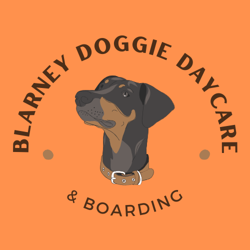 Blarney Doggie Daycare & Boarding Dog Kennel Cork Killowen, Blarney, Cork T23EW83, Blarney