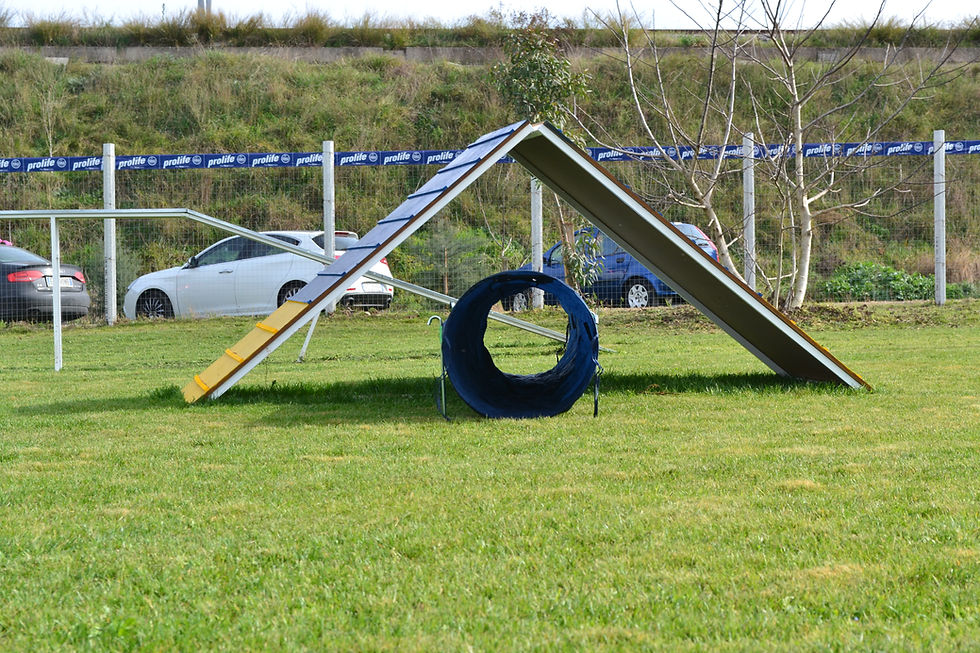 DSC_0592