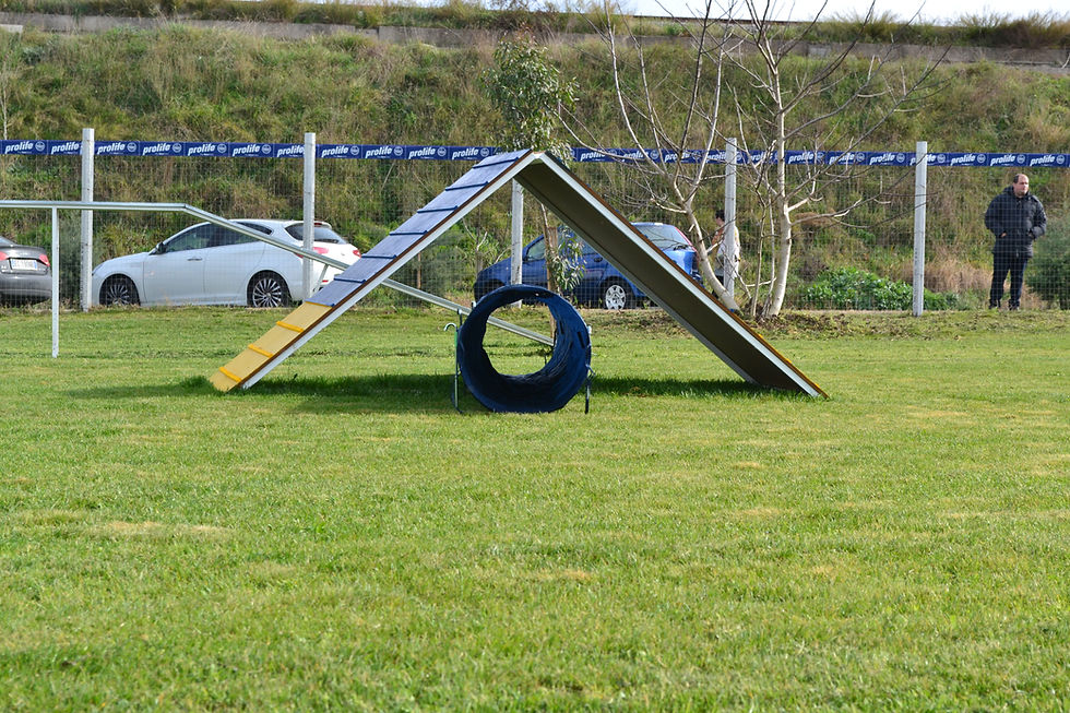 DSC_0590