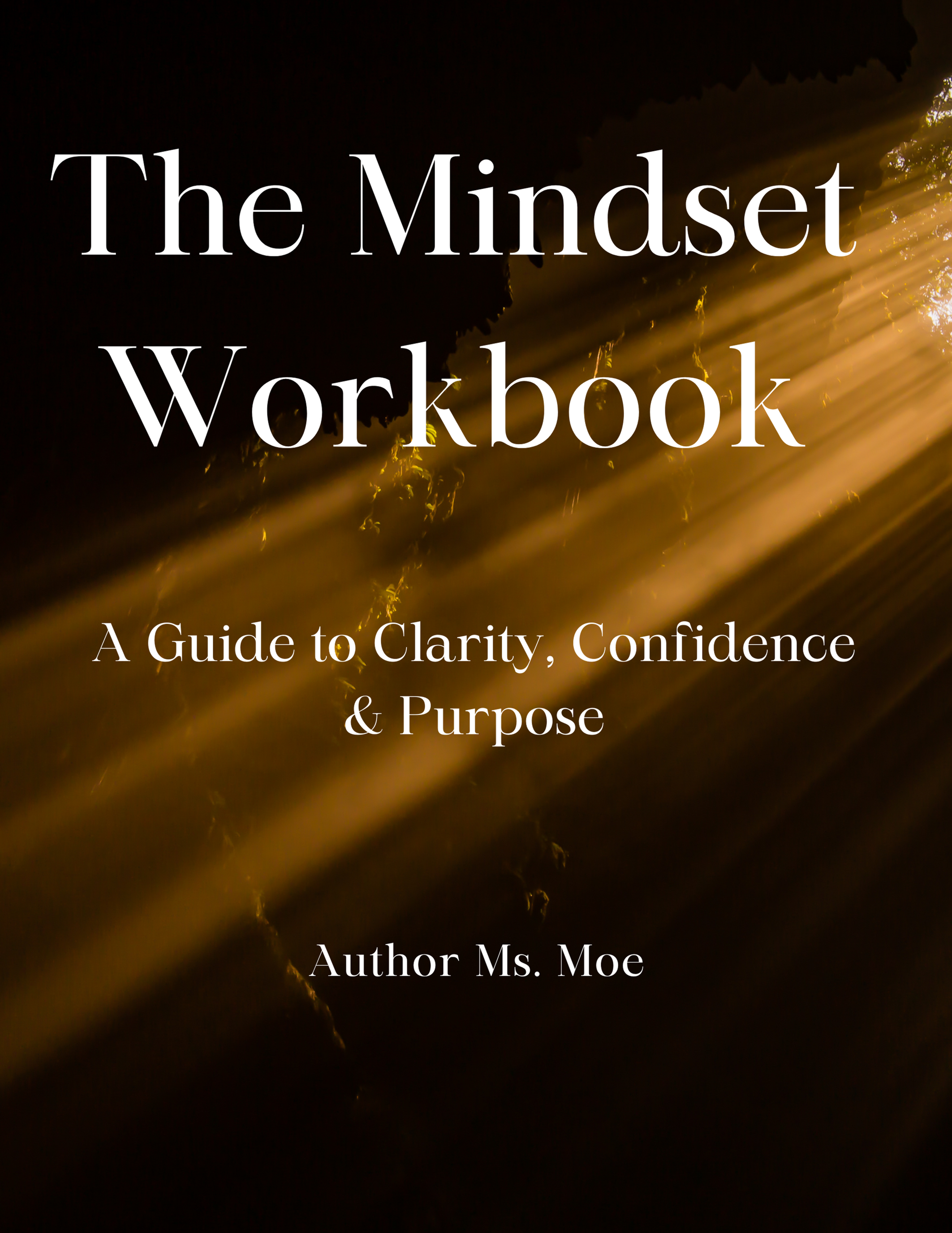 The Mindset Workbook Full Version