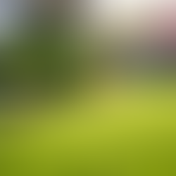 Maximizing Your Spring Cleanup: Essential Tips for a Lush Lawn and Vibrant Landscape