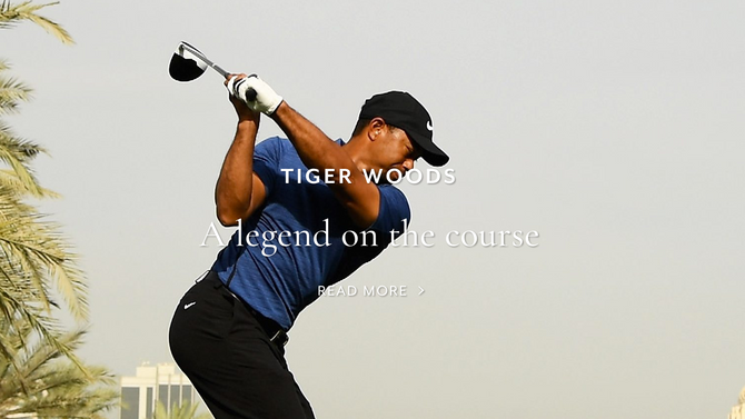 Mein Brief an den Tiger