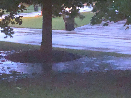 Rain, Rain, Go (the Hell) Away ...