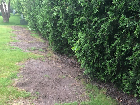 The Seeds of Frustration