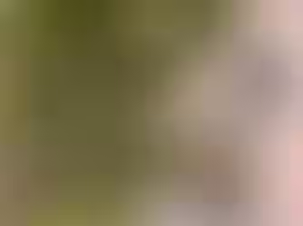 Welcome to Citrus Court