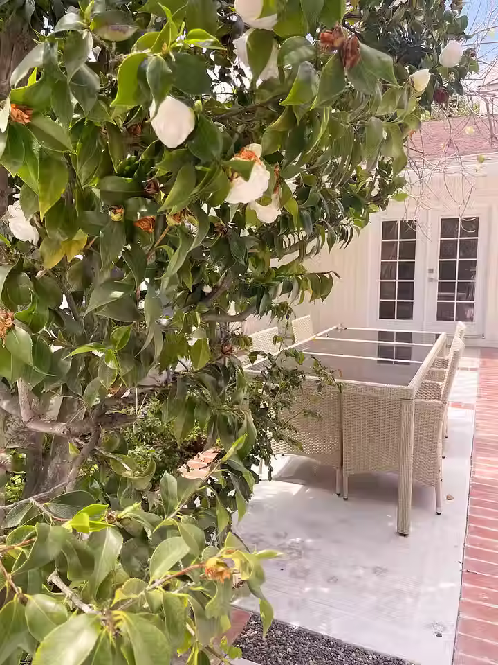 Welcome to Citrus Court