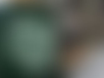 Beyond Aid: A Mental Health Social Worker’s Reflections on Food Banks and Community Resilience