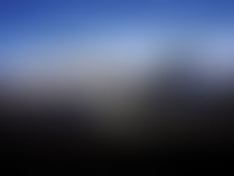 The Role of Chauffeurs in Diplomatic and Government Travel