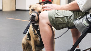 Military Sexual Trauma