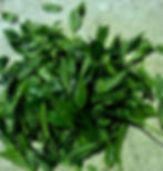 Thumbnail: Nagasaki KIRI Japanese Green Tea