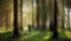FOND SITE copie_edited_edited.jpg