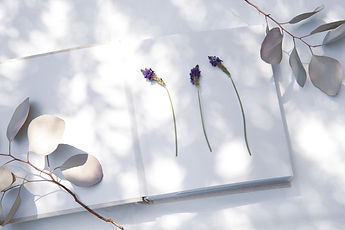 AdobeStock_427175467.jpeg
