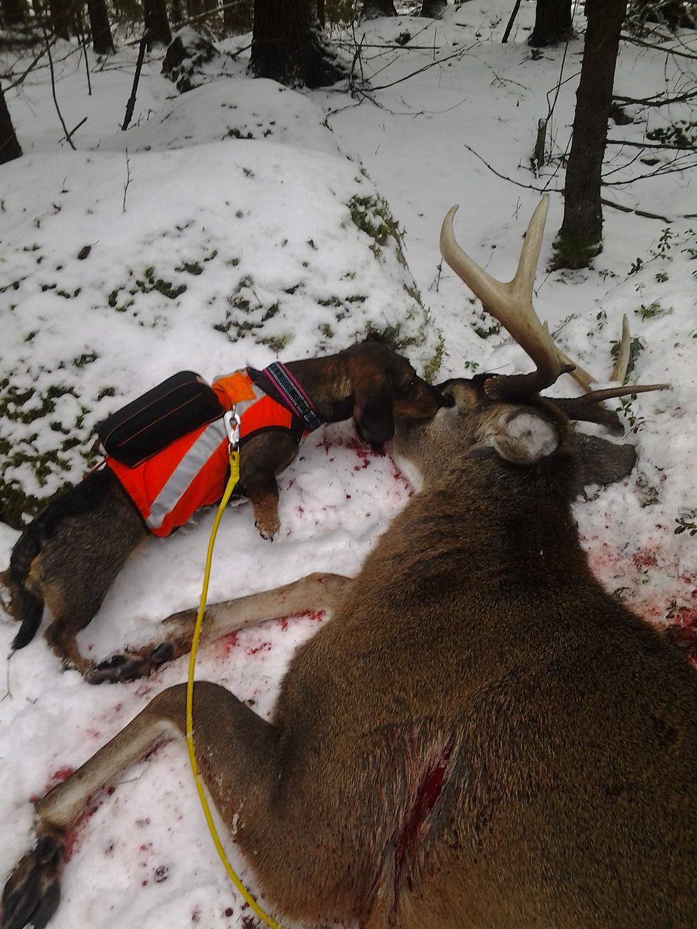 2015-01-25 11.02.03.jpg