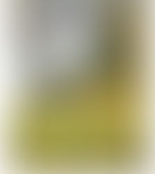 田中佳洋作品展