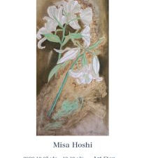 Misa Hoshi  ホシ　ミサ個展「あわい展」2023 Kobe