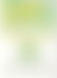 田村洋子　木版画展　　
