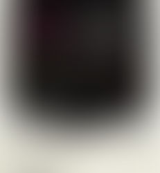 神戸ビエンナーレ2015　兵庫・神戸の仲間たち展