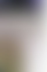 悦ばしき知覚　絵画の深さと明晰さについて