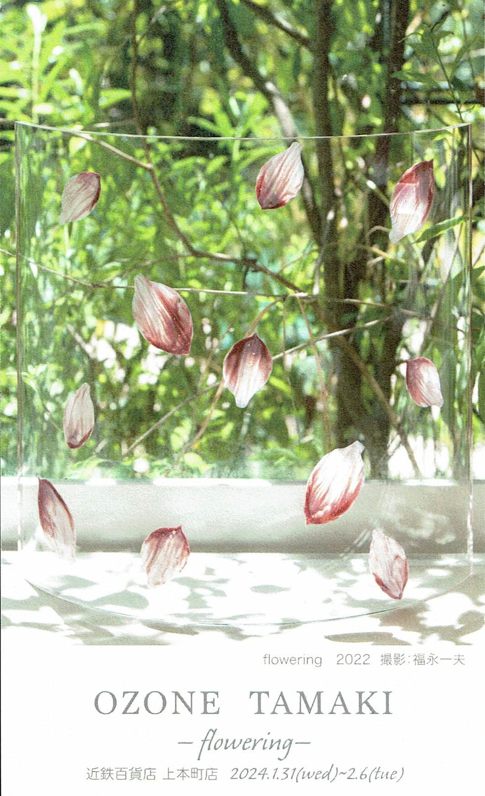 小曽根 環 展　－flowering－