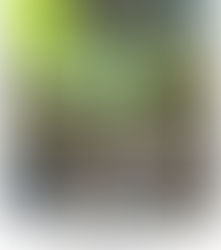 國 松 万 琴 展 — Verde 緑の世界 —