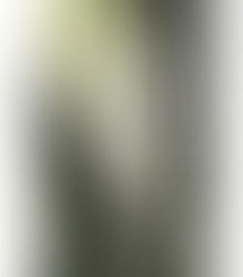 小曽根 環 展 ―garden・新抽象絵画論―展