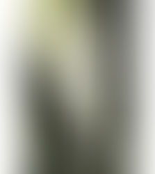 小曽根 環 展 ―garden・新抽象絵画論―展