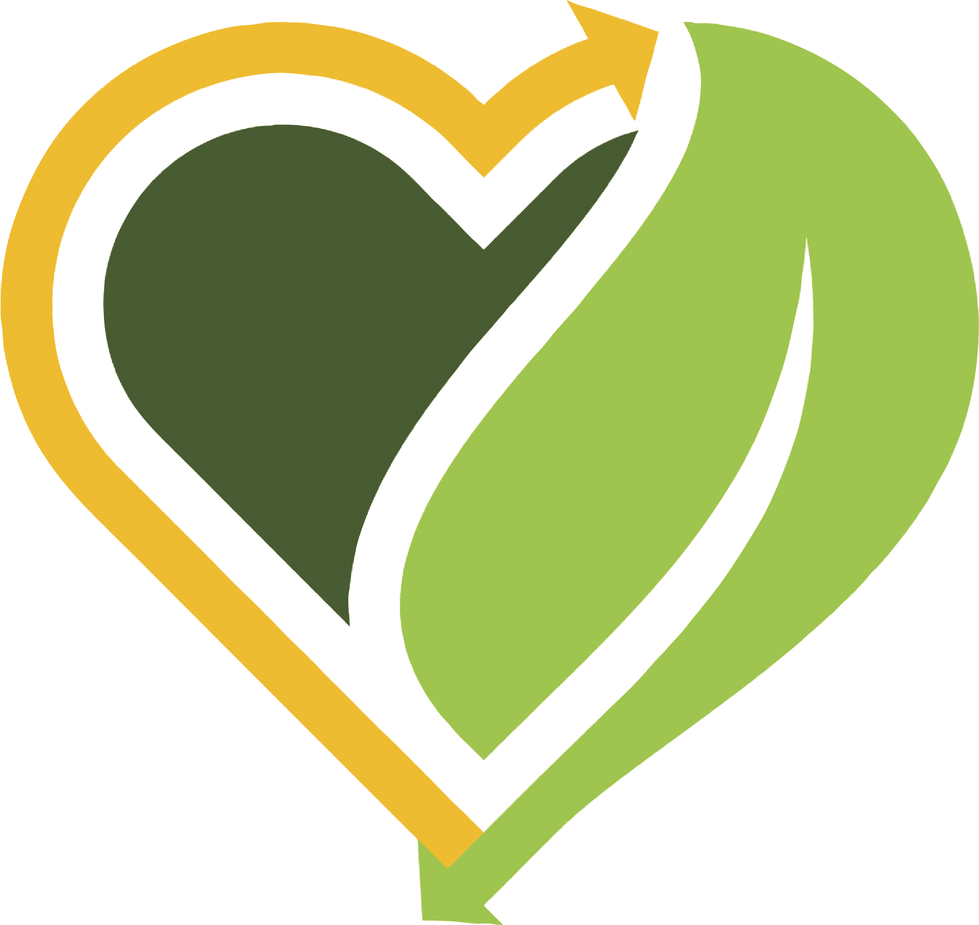 Back To Earth - Icon - Colors.png