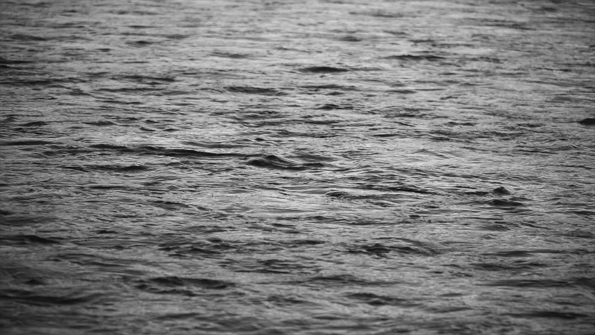 Montana Fly Fishing Hats and Stickers TruMontana Fishing Co. United States