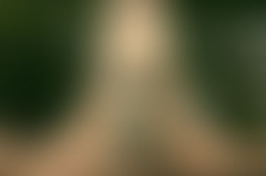 Homéopathie et ostéopathie...