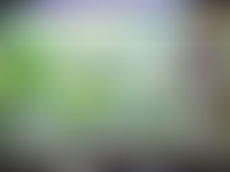 Créer le terrarium pour son animal