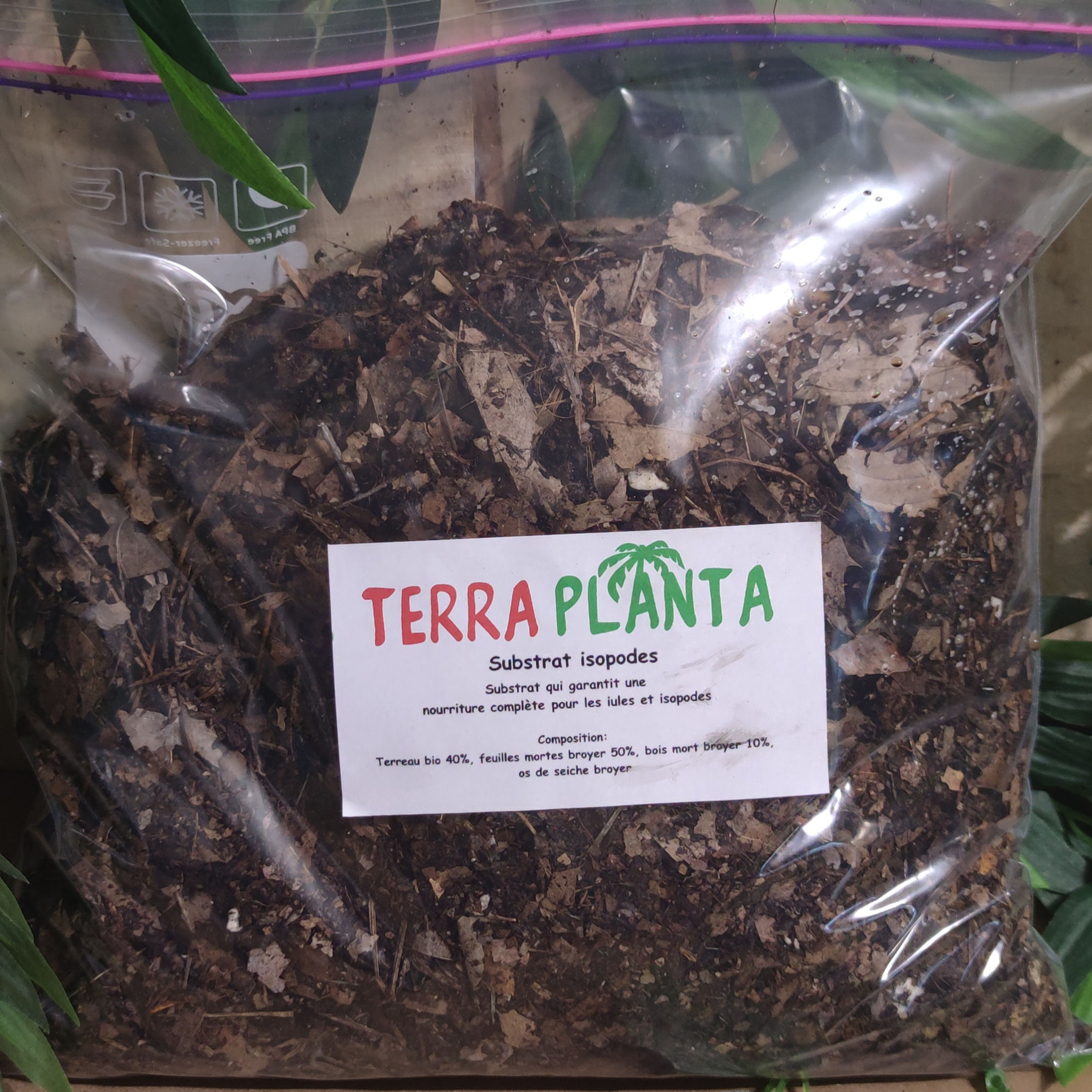 Substrat iules & isopodes