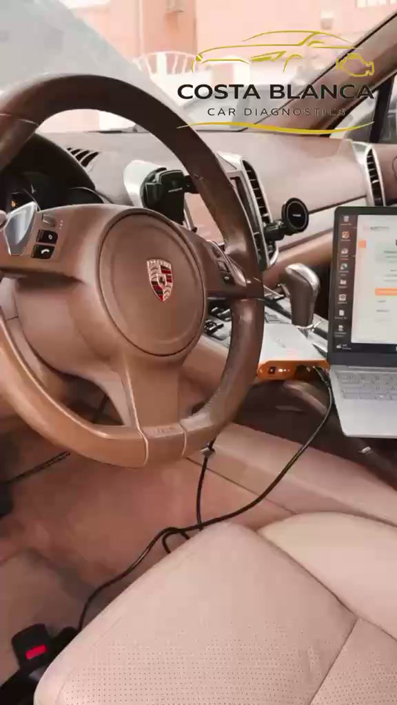 Porche ECU diagnostics