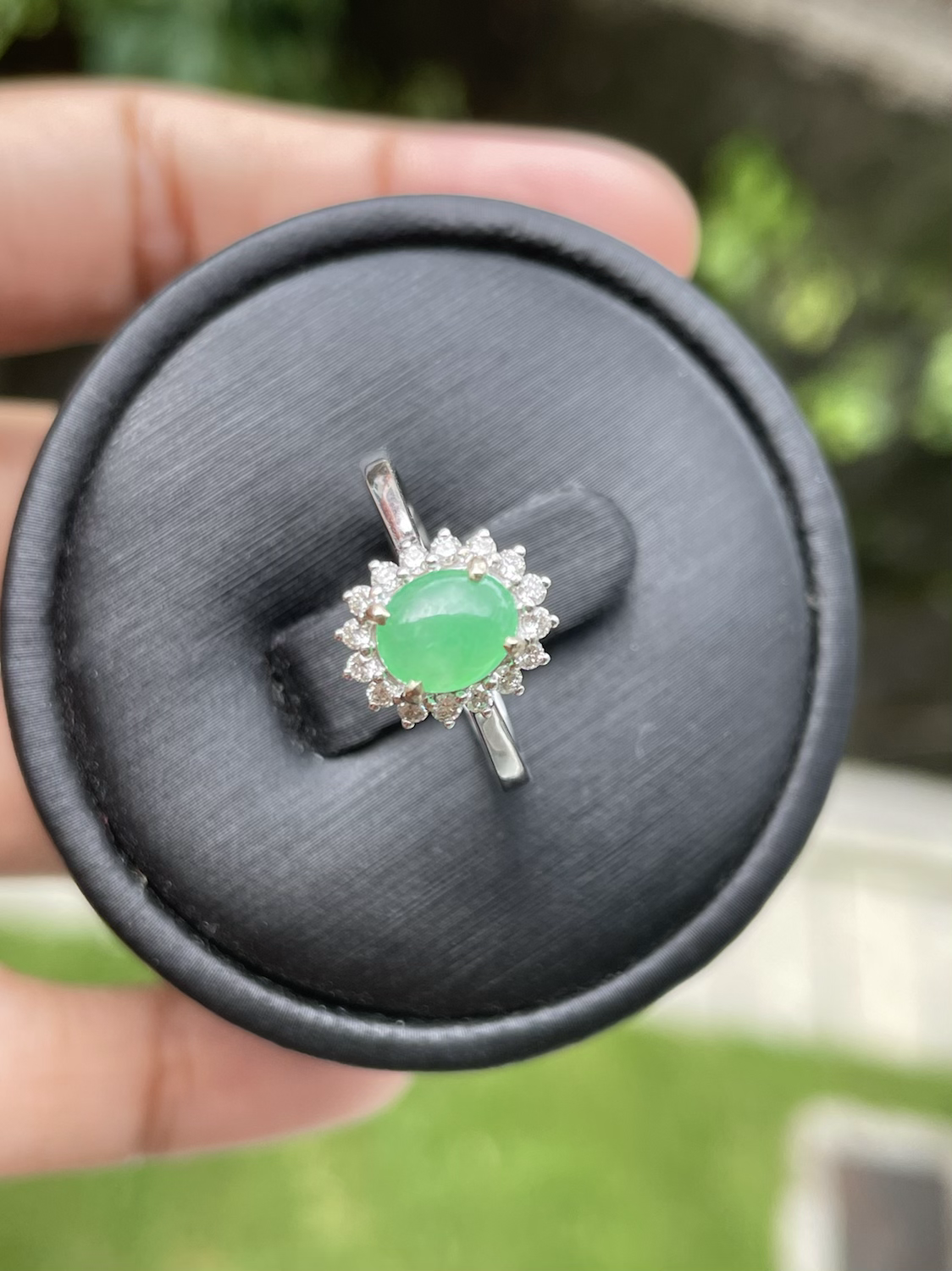 Burmese Type A Jadeite Jade and diamond Halo ring in 18k solid gold