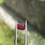 Thumbnail: 1.18Ct Red Spinel 