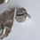 Thumbnail: Textured Gold Leaf Stud Earrings with Burmese Natural Type A Jade by Burma JARS