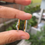Thumbnail: Natural Diamond Stackable Ring in 18k solid gold 