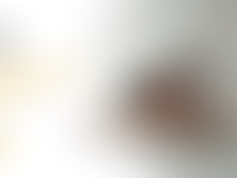 Quem Paga IPTU: Proprietário ou Morador? Entenda de Forma Definitiva Quem é o Responsável Pelo Imposto do Imóvel