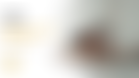 Quem Paga IPTU: Proprietário ou Morador? Entenda de Forma Definitiva Quem é o Responsável Pelo Imposto do Imóvel