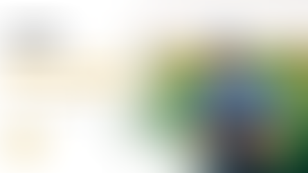 Tempo de trabalho rural pode ser considerado para aposentadoria? Entenda seus direitos no INSS