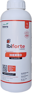 IBIFORTE HIERRO (1L).png