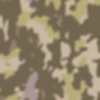 desert camo pattern.jpg