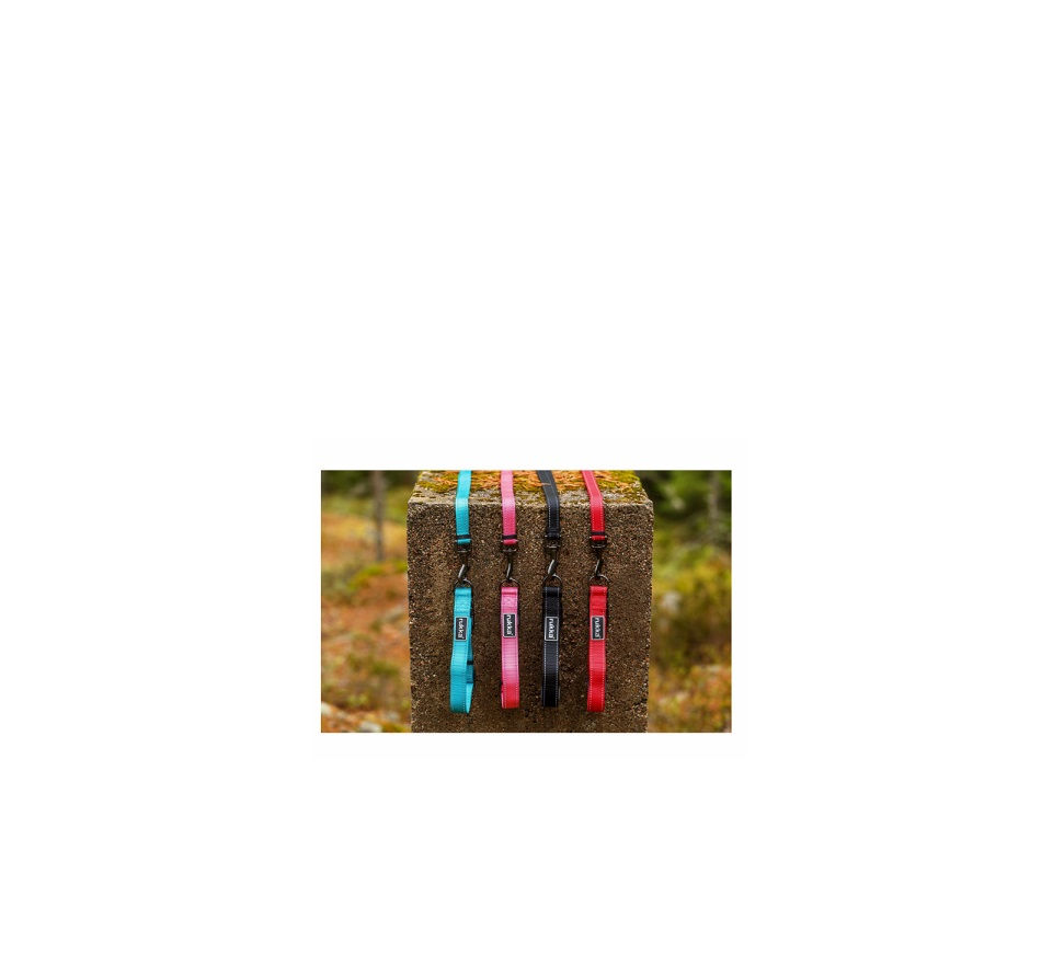 Thumbnail: RUKKA TURQUOISE BLISS LEASH LEAD L